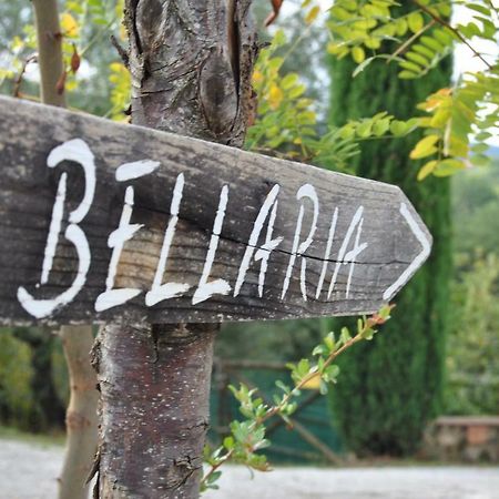 Casa Fioranna Villa Seggiano Bagian luar foto