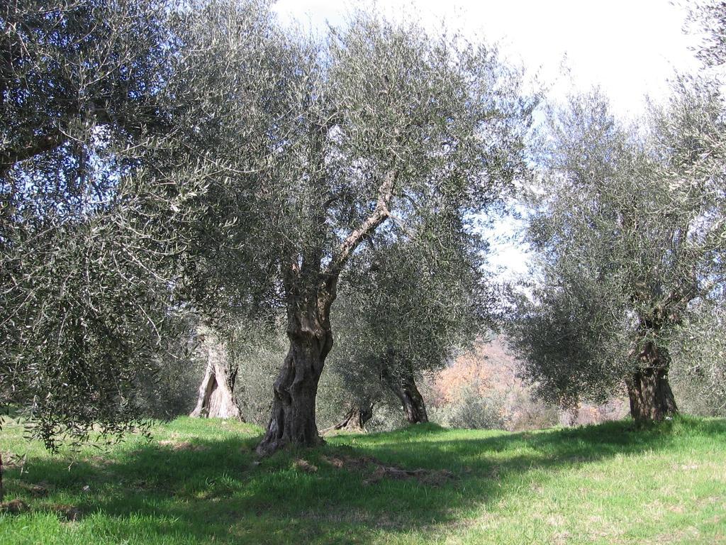 Casa Fioranna Villa Seggiano Ruang foto