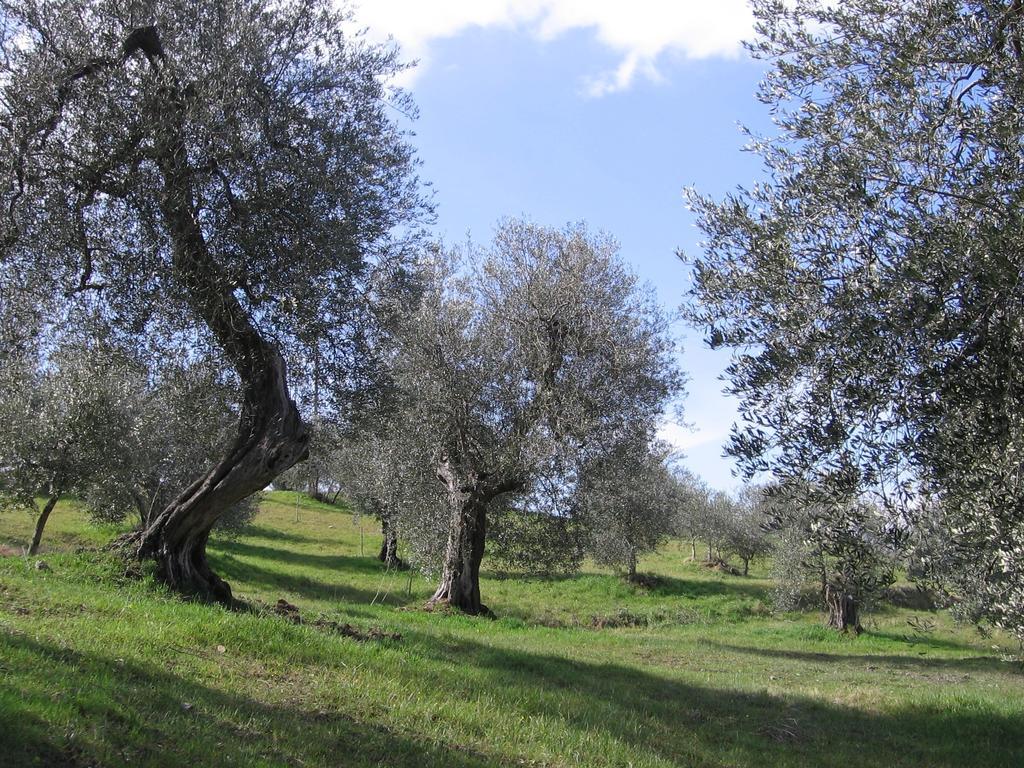 Casa Fioranna Villa Seggiano Ruang foto